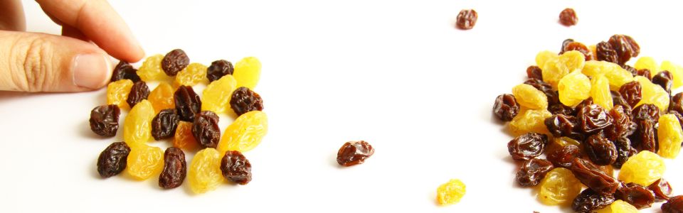Snacking on raisins and sultanas