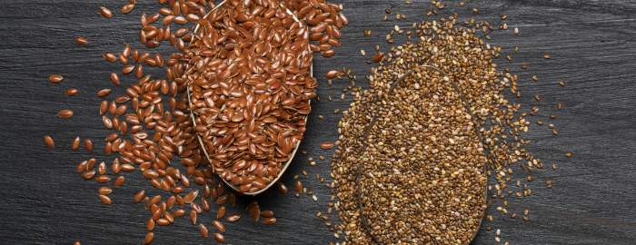 Chia seed vs flax seed