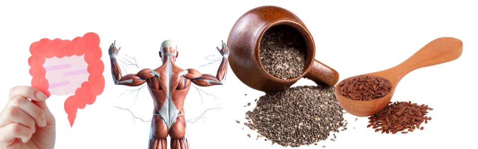 Chia and flax seeds for digestion and build muscle.