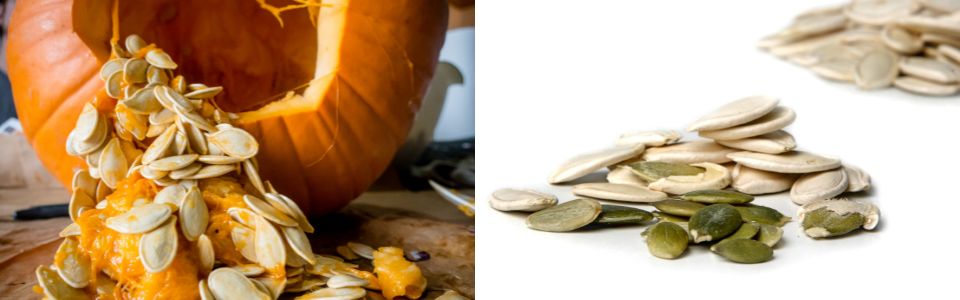 Pumpkin seeds