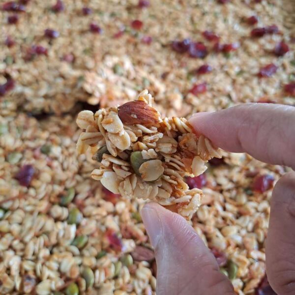 Granola Clusters Classic Blend