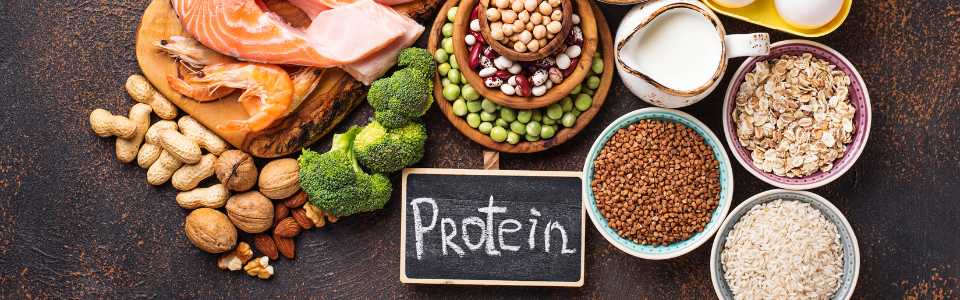 Protein foods