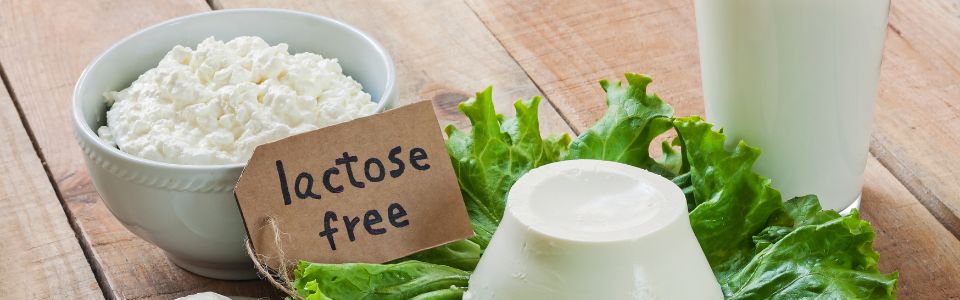 Lactose free yoghurt