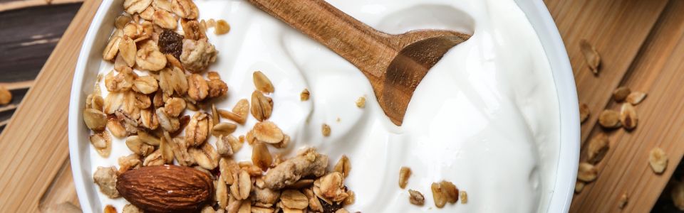 Yoghurt granola bowl