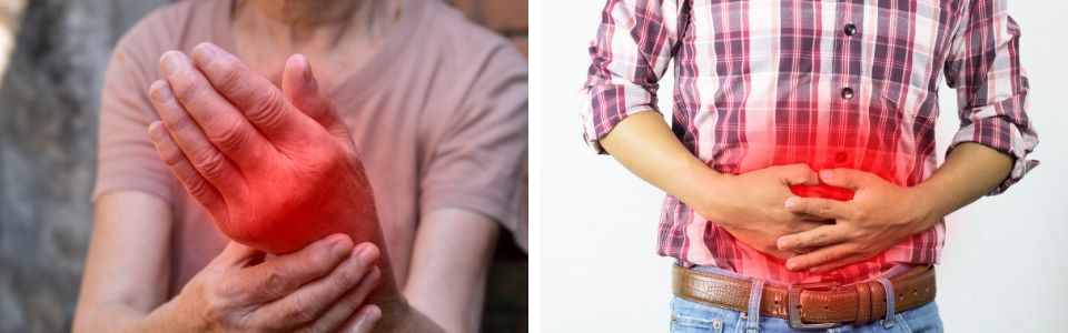Inflammation and gut health