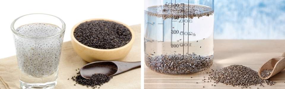 Soaked basil seeds and chia seeds