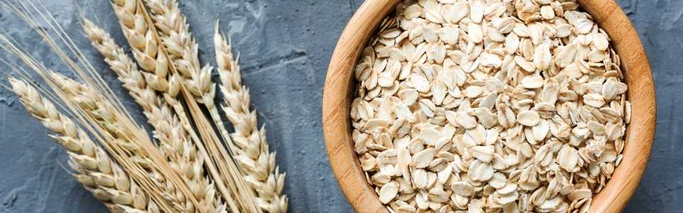 Wheat plant and a bowl of rolled oats